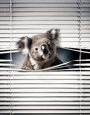 Sötétítő roló Koala