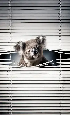 Sötétítő roló Koala kivitelben