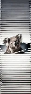 Sötétítő roló Koala kivitelben