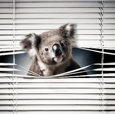 Sötétítő roló Koala