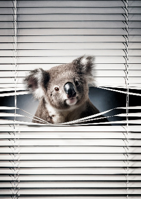 Sötétítő roló Koala