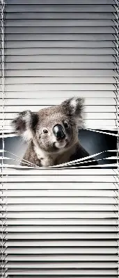 Sötétítő roló Koala kivitelben