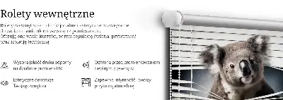 Sötétítő roló Koala kivitelben