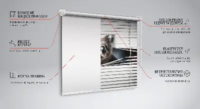 Sötétítő roló Koala kivitelben