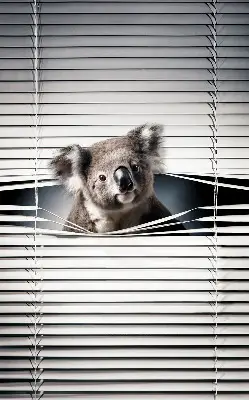 Sötétítő roló Koala kivitelben