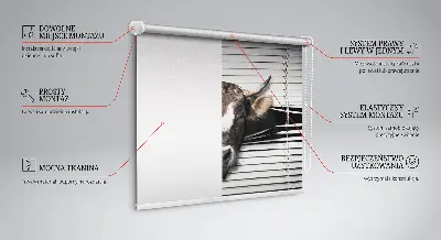 Sötétítő roló tehén mintás