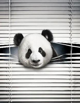 Panda roló ablakra akasztható kivitelben