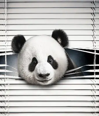 Panda roló ablakra akasztható kivitelben