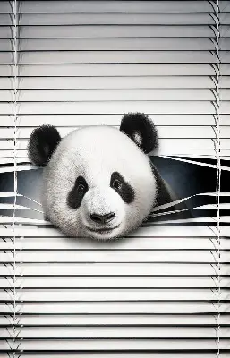 Panda roló ablakra akasztható kivitelben