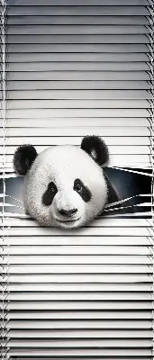 Panda roló ablakra akasztható kivitelben