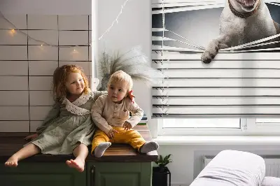 Roló ablakra kutya mintával