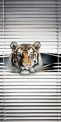 Ablakra szerelhető roló tigris mintával