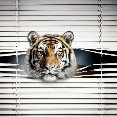 Ablakra szerelhető roló Tigris