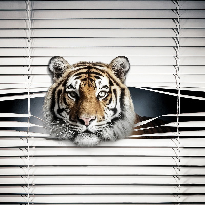 Ablakra szerelhető roló Tigris