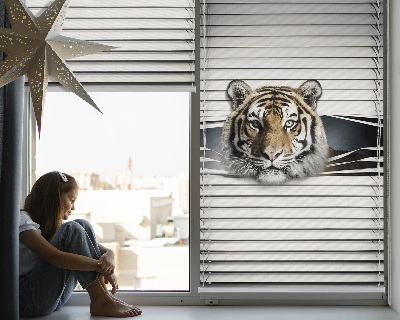 Ablakra szerelhető roló Tigris