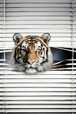 Ablakra szerelhető roló tigris mintával