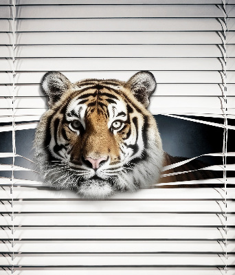 Ablakra szerelhető roló Tigris