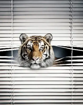 Ablakra szerelhető roló tigris mintával