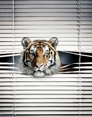 Ablakra szerelhető roló Tigris