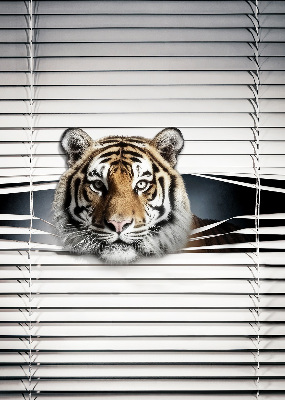 Ablakra szerelhető roló Tigris