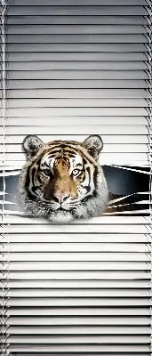 Ablakra szerelhető roló tigris mintával