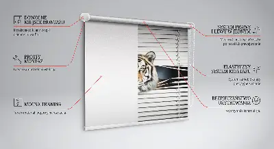 Ablakra szerelhető roló tigris mintával
