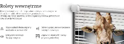 Ablakra akasztható roló zsiráf mintával