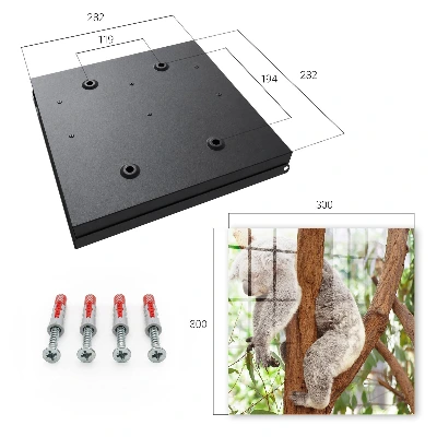 Kulcsdoboz Koala pihenés