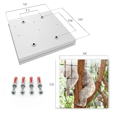 Kulcsdoboz Koala pihenés