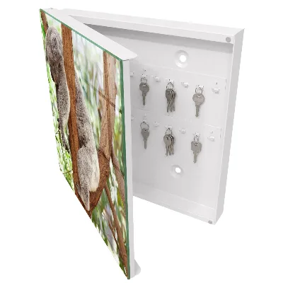 Kulcsdoboz Koala pihenés