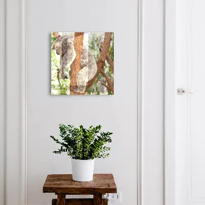 Kulcsdoboz Koala pihenés