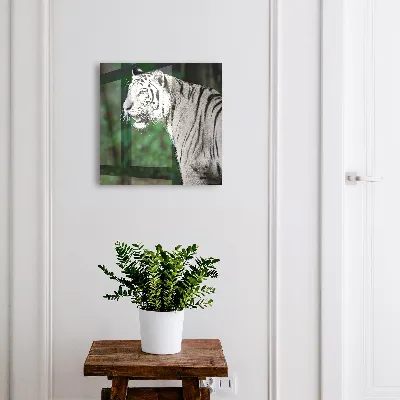 Kulcsdoboz Fehér tigris