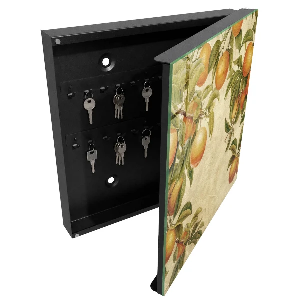 Kulcstartó szekrény falra Narancsok természete