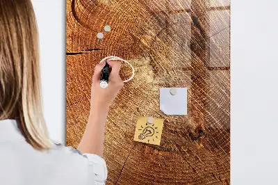 Írható mágnestábla fatörzskeresztmetszet formájú