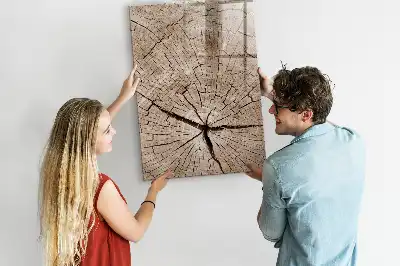 Írható mágneses tábla keresztmetszeti fatörzs mintával