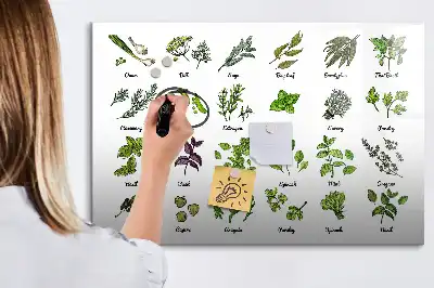 Mágneses törölhető tábla fafajták mintával