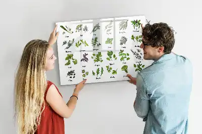 Mágneses törölhető tábla fafajták mintával