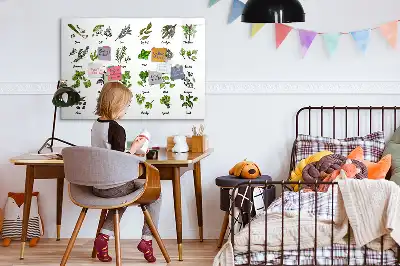 Mágneses törölhető tábla fafajták mintával