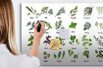 Mágneses törölhető tábla fafajták mintával