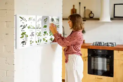 Mágneses törölhető tábla fafajták mintával