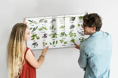 Mágneses törölhető tábla fafajták mintával