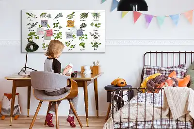 Mágneses törölhető tábla fafajták mintával