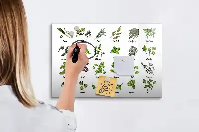 Mágneses törölhető tábla fafajták mintával