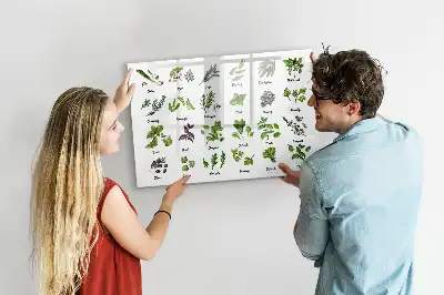 Mágneses törölhető tábla fafajták mintával