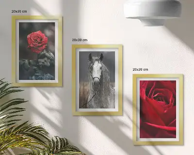 Modern keretezett képszett vörös rózsák és ló szürke háttérrel