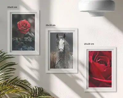 Modern keretezett képszett vörös rózsák és ló szürke háttérrel