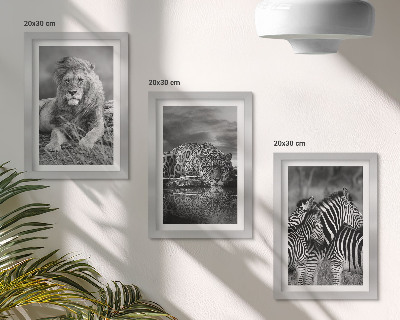 Modern keretezett kép szett A szavanna vadállatai: oroszlán, jaguár és zebra