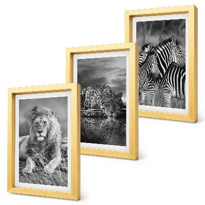 Modern keretezett kép szett A szavanna vadállatai: oroszlán, jaguár és zebra