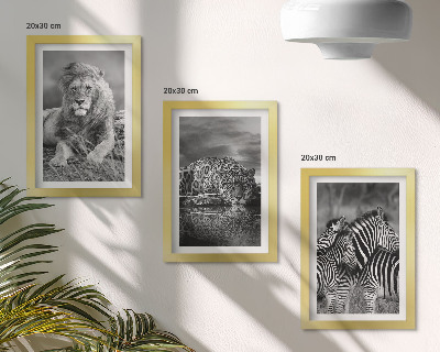 Modern keretezett kép szett A szavanna vadállatai: oroszlán, jaguár és zebra