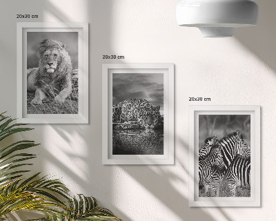 Modern keretezett kép szett A szavanna vadállatai: oroszlán, jaguár és zebra